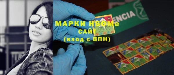 гашик Инта