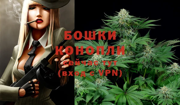 гашик Инта