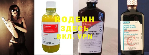 гашик Инта