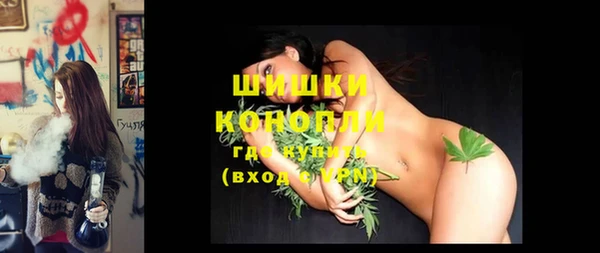 гашик Инта