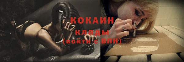 бошки Инсар