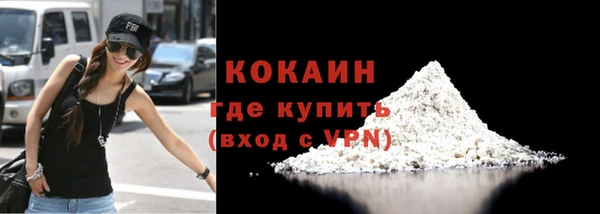 гашик Инта