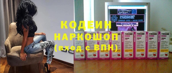 гашик Инта