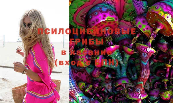 бошки Иннополис