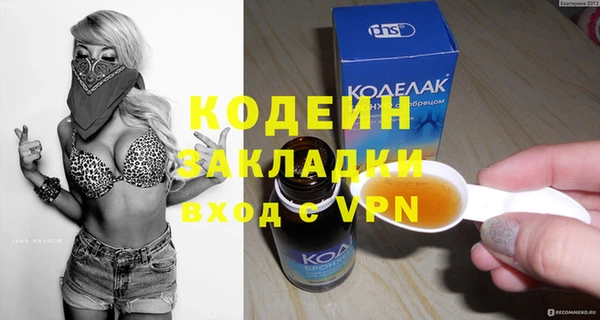 гашик Инта