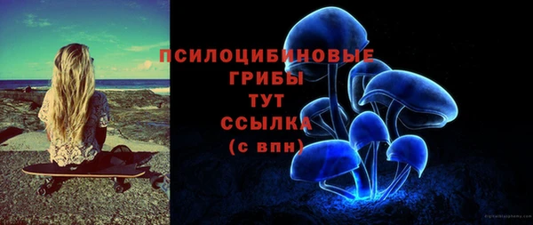 бошки Инсар