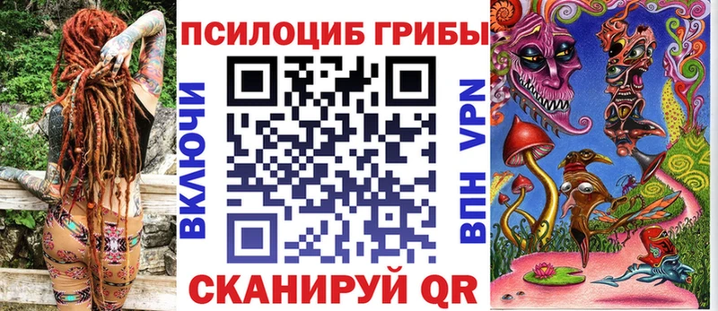 Псилоцибиновые грибы Psilocybe где можно купить наркотик Тарко-Сале